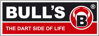 Logo Bulls