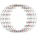 Bulls NL Colorfull Matt Number Ring Set 5 pcs