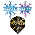 Red Dragon zestaw piórek Gerwyn Price Iceman Snawflake