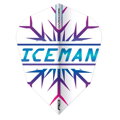Red Dragon zestaw piórek Gerwyn Price Iceman Snawflake