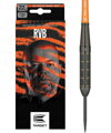 Target lotki Raymond van Barneveld RVB Brass Steel 22g