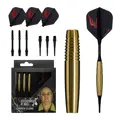 Cosmo Darts lotki Andrew Gilding soft 21g