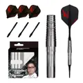 Cosmo Darts lotki Daisuke Akamatsu soft 19,5g