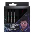 Cosmo Darts lotki Royden Lam soft 18g