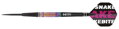 Red Dragon lotki Peter Wright WC Tapered 23g steel