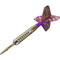 Target lotki Luke Littler G1 Prodigy SP 22g