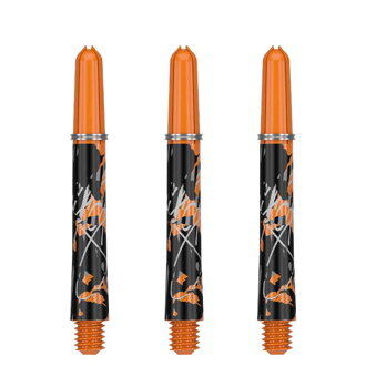 Target shafty Pro Grip Icon Raymond Van Barneveld Intermediate