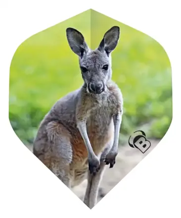 Bulls piórka Motex Kangaroo No.2