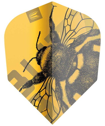 Target piórka Buzz 3 komplety No.6