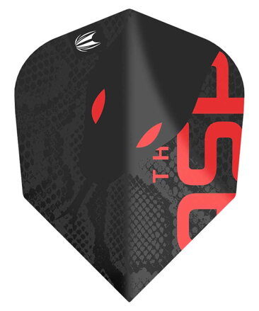 Target piórka Nathan Aspinall 80% No.6 Black