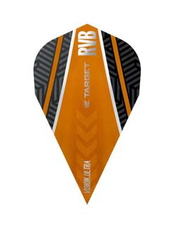 Target piórka Raymond van Barneveld vapor 332070