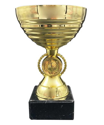 Puchar Super Ekonomiczny SE0168