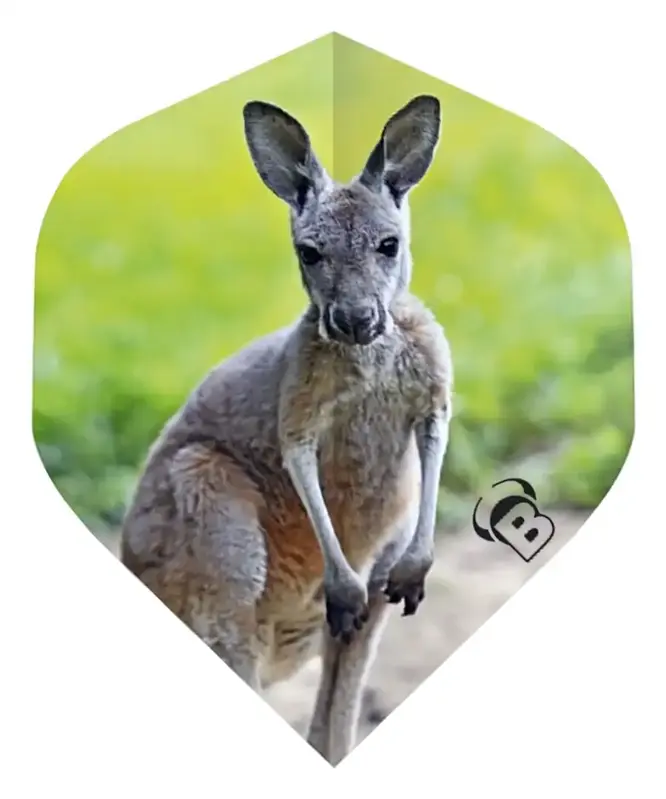 Bulls piórka Motex Kangaroo No.2