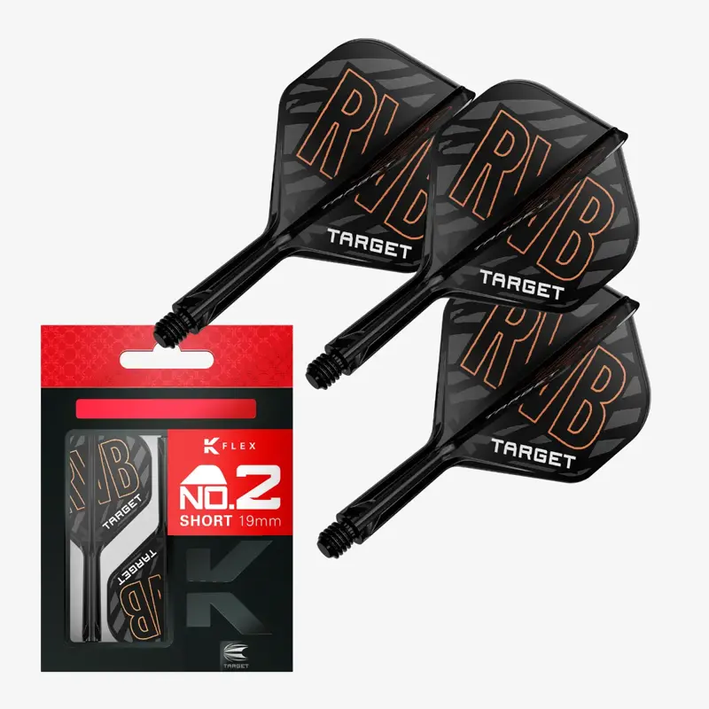 Target piórka K-Flex Raymond van Barneveld No.2