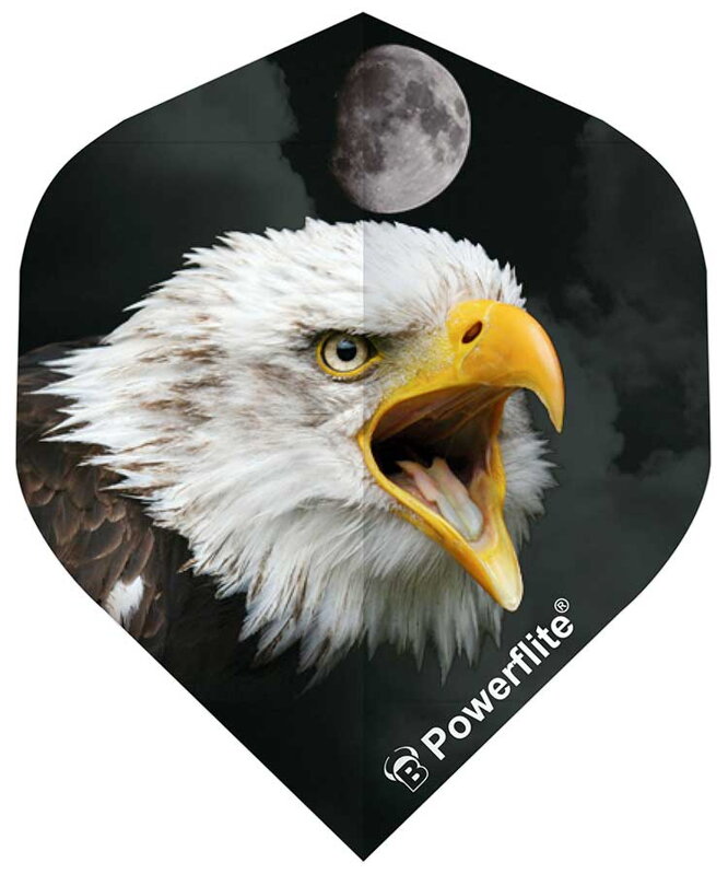 Bulls piórka Powerflite Eagle No.2
